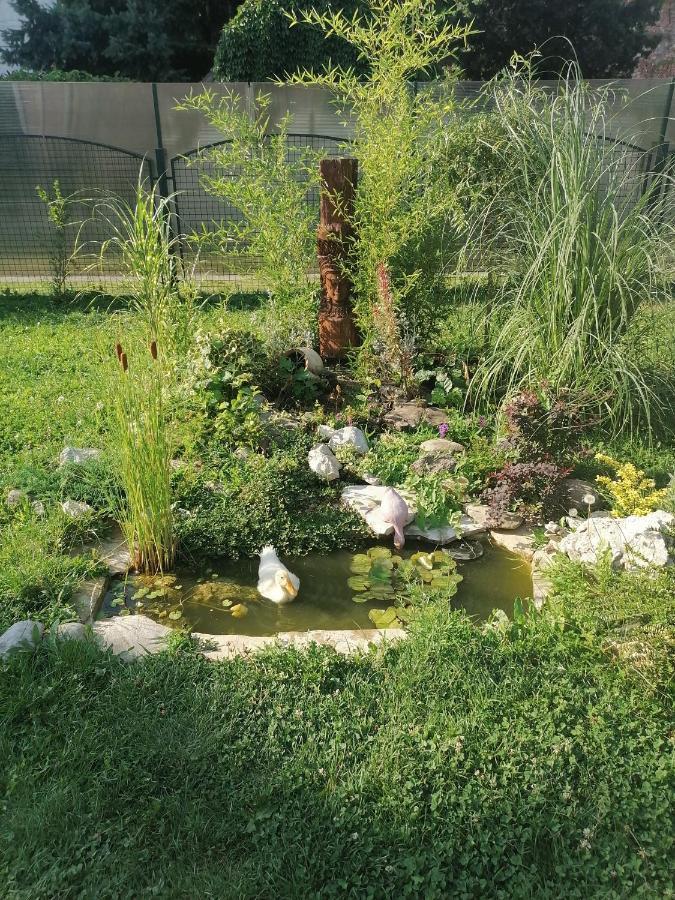 Apartman Garden House Vozdivac Ngoại thất bức ảnh